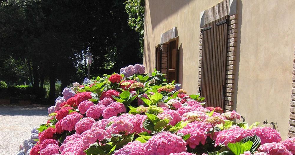 Montecorneo Country House Ponte San Giovanni Eksteriør bilde